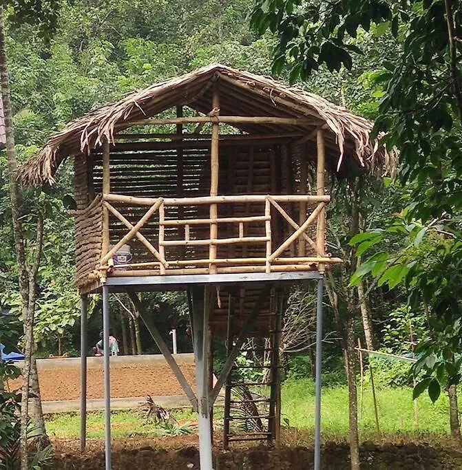 Heaven Homestay Erattupetta